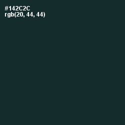 #142C2C - Timber Green Color Image