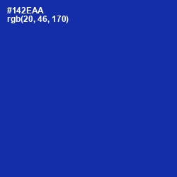 #142EAA - International Klein Blue Color Image