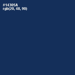 #14305A - Nile Blue Color Image