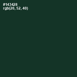 #143428 - Timber Green Color Image