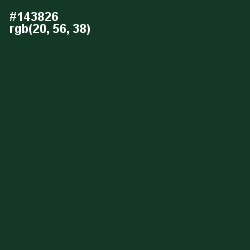 #143826 - Celtic Color Image