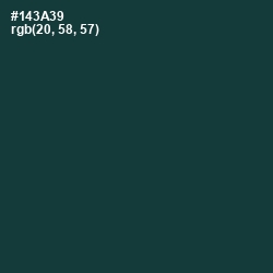 #143A39 - Gable Green Color Image