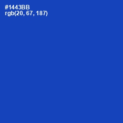 #1443BB - Tory Blue Color Image