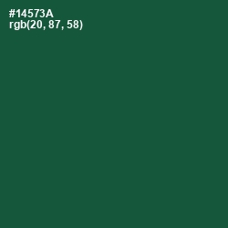 #14573A - Te Papa Green Color Image