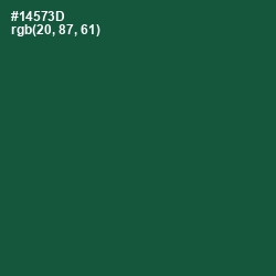#14573D - Te Papa Green Color Image