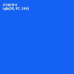 #1461F4 - Blue Ribbon Color Image