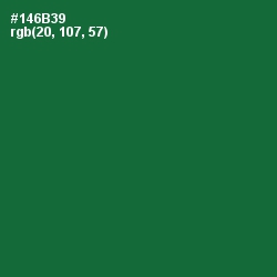 #146B39 - Fun Green Color Image