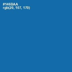 #146BAA - Denim Color Image