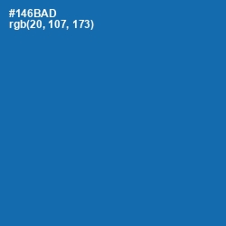 #146BAD - Denim Color Image