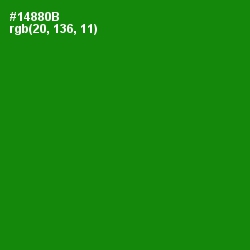 #14880B - Forest Green Color Image