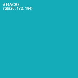 #14ACB8 - Eastern Blue Color Image