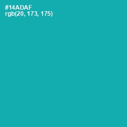 #14ADAF - Eastern Blue Color Image