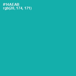 #14AEAB - Eastern Blue Color Image