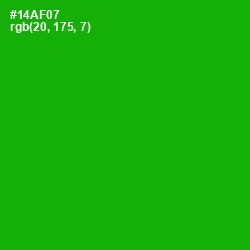 #14AF07 - Forest Green Color Image