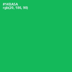 #14BA5A - Jade Color Image