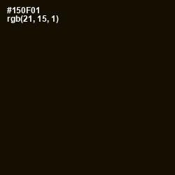#150F01 - Asphalt Color Image