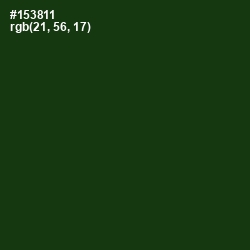 #153811 - Palm Leaf Color Image