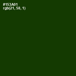 #153A01 - Palm Leaf Color Image
