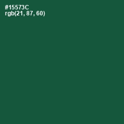 #15573C - Te Papa Green Color Image