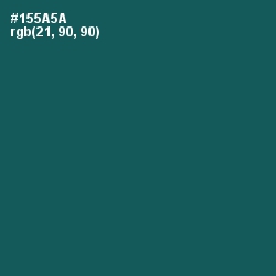 #155A5A - Eden Color Image