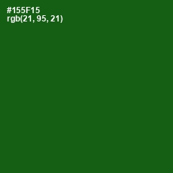 #155F15 - Parsley Color Image