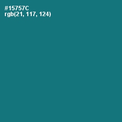 #15757C - Elm Color Image