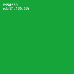 #15A538 - Forest Green Color Image