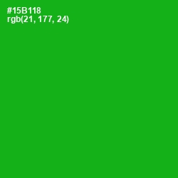 #15B118 - Forest Green Color Image