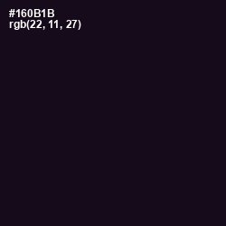 #160B1B - Cinder Color Image