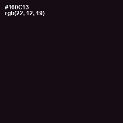 #160C13 - Cinder Color Image