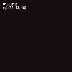 #160D12 - Cinder Color Image