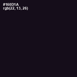 #160D1A - Cinder Color Image