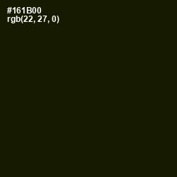 #161B00 - Pine Tree Color Image