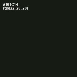 #161C14 - Hunter Green Color Image