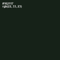#162117 - Seaweed Color Image