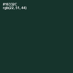 #16332C - Timber Green Color Image