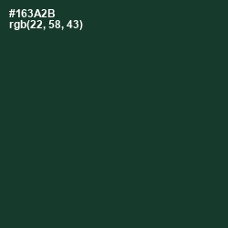 #163A2B - Timber Green Color Image