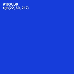 #163CD9 - Dark Blue Color Image