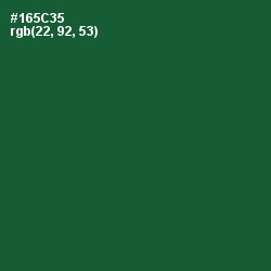 #165C35 - Te Papa Green Color Image