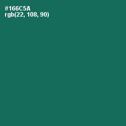 #166C5A - Watercourse Color Image