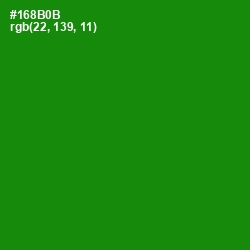 #168B0B - Forest Green Color Image