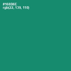 #168B6E - Elf Green Color Image