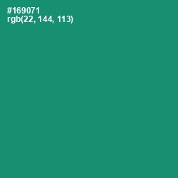 #169071 - Elf Green Color Image