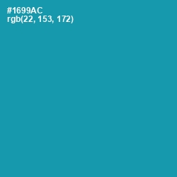 #1699AC - Eastern Blue Color Image