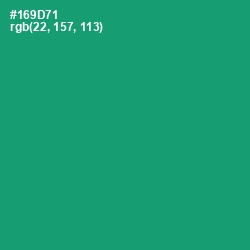 #169D71 - Elf Green Color Image