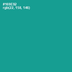 #169E92 - Blue Chill Color Image