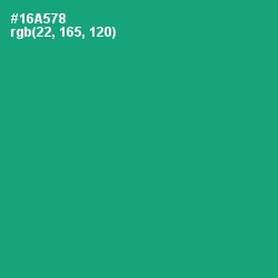 #16A578 - Jade Color Image