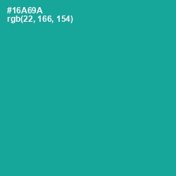 #16A69A - Persian Green Color Image