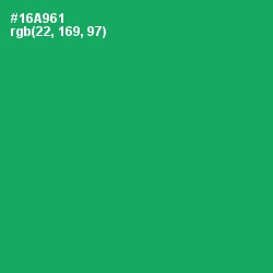 #16A961 - Green Haze Color Image