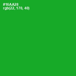 #16AA28 - Forest Green Color Image